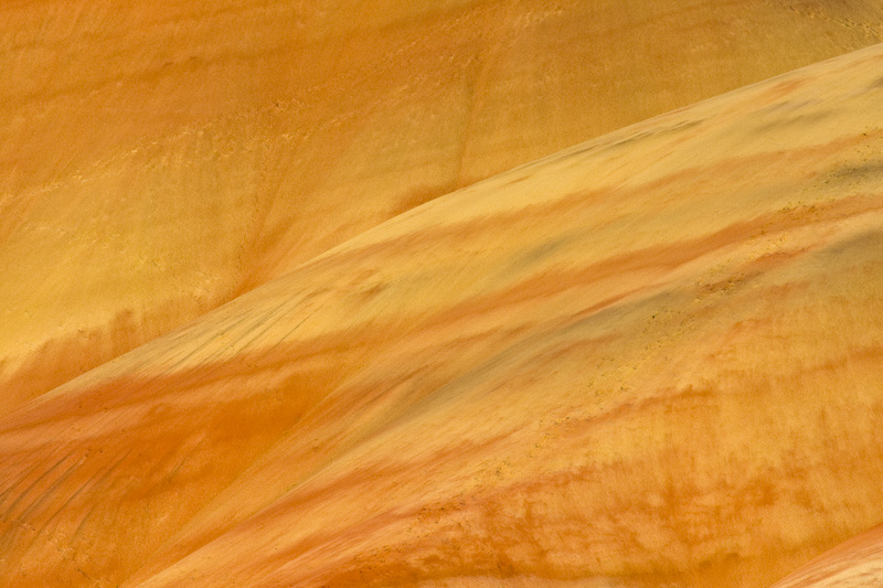 Detail Of The Painted Hills